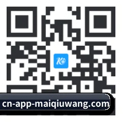iPhone APP 二维码